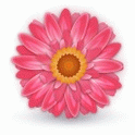 content icon