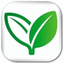 content icon