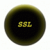 SandroProxy icon